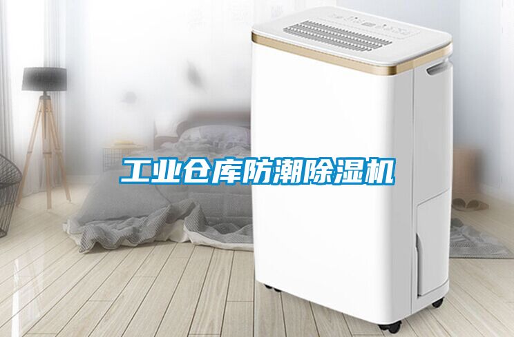 欧美黄色性爱视频网站 工业仓库防潮除湿机
