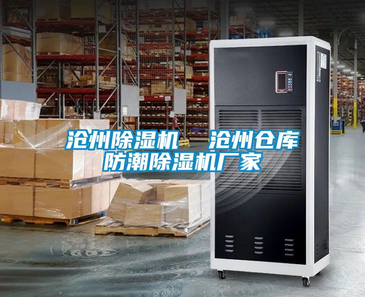 欧美黄色电影在线播放 沧州除湿机  沧州仓库防潮除湿机厂家