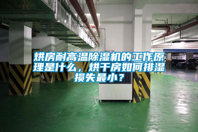欧美成色手机在线观看 烘房耐高温除湿机的工作原理是什么，烘干房如何排湿损失最小？