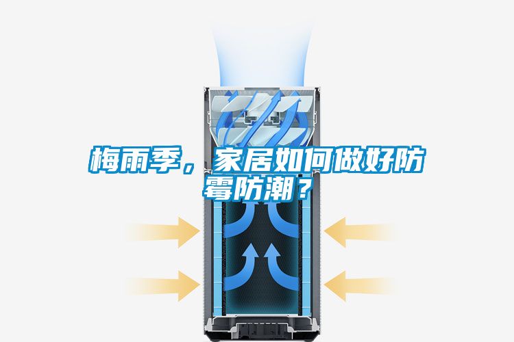 欧美黄色电影在线播放 梅雨季，家居如何做好防霉防潮？