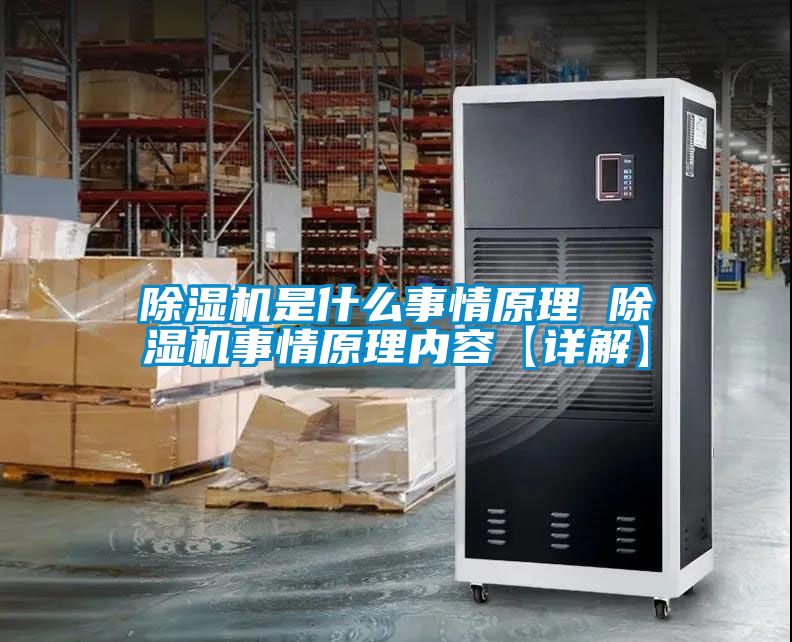 欧美成色手机在线观看 除湿机是什么事情原理 除湿机事情原理内容【详解】