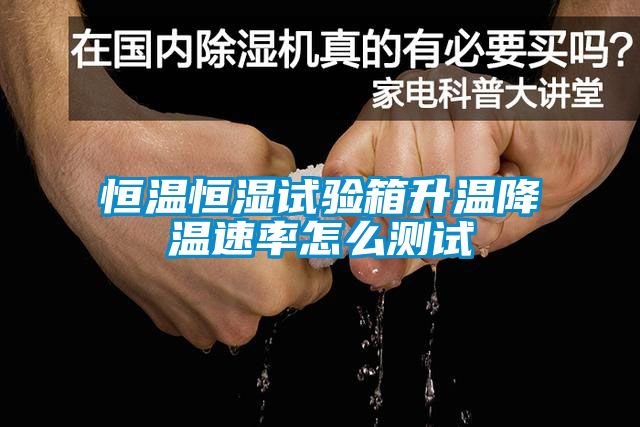 欧美成色手机在线观看 恒温恒湿试验箱升温降温速率怎么测试