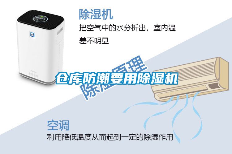 欧美成色手机在线观看 仓库防潮要用除湿机