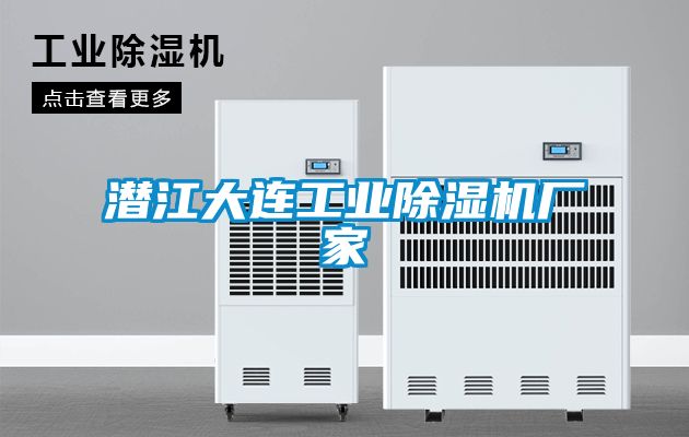 欧美黄色电影在线播放 潜江大连工业除湿机厂家
