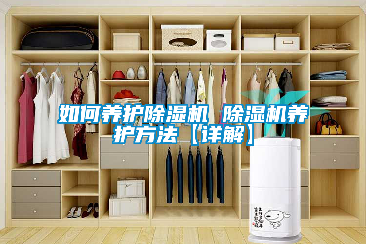 欧美成色手机在线观看 如何养护除湿机 除湿机养护方法【详解】