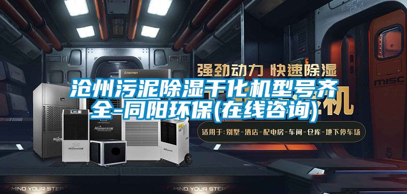欧美黄色性爱视频网站 沧州污泥除湿干化机型号齐全-同阳环保(在线咨询)