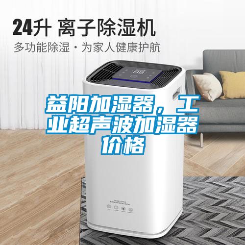 欧美黄色电影在线播放 益阳加湿器，工业超声波加湿器价格