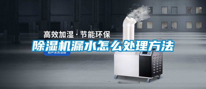 欧美黄色电影在线播放 除湿机漏水怎么处理方法
