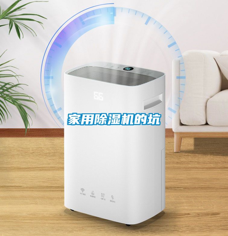 欧美成色手机在线观看 家用除湿机的坑