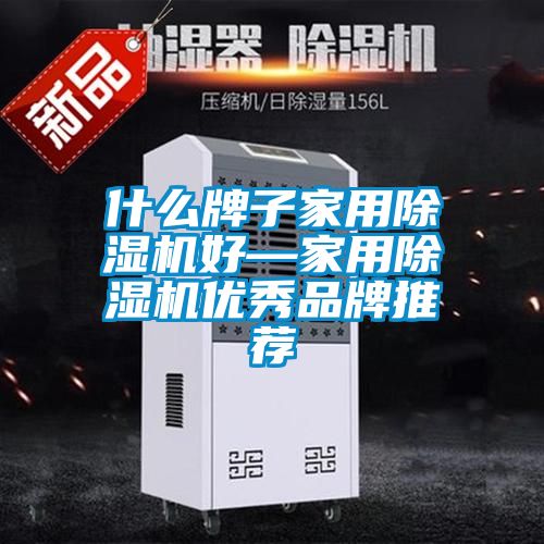 欧美黄色性爱视频网站 什么牌子家用除湿机好—家用除湿机优秀品牌推荐