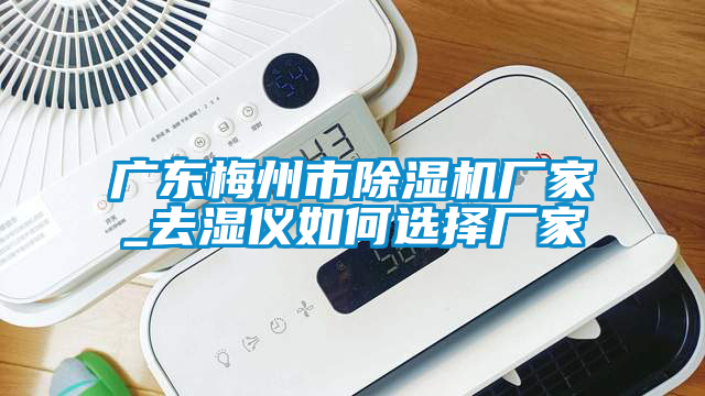 欧美黄色电影在线播放 广东梅州市除湿机厂家_去湿仪如何选择厂家
