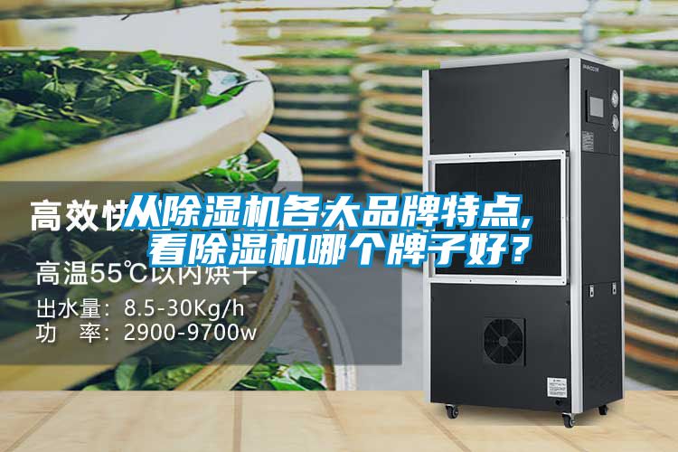欧美黄色性爱视频网站 从除湿机各大品牌特点, 看除湿机哪个牌子好？