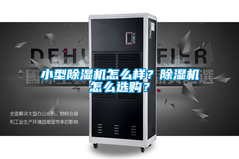 欧美黄色性爱视频网站 小型除湿机怎么样？除湿机怎么选购？