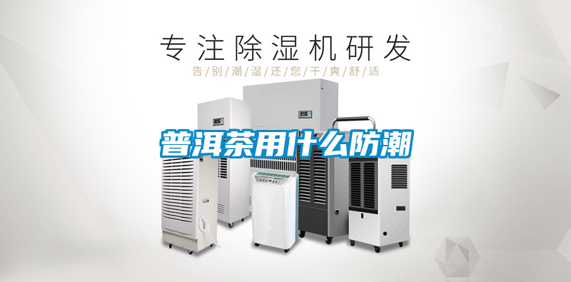 欧美成色手机在线观看 普洱茶用什么防潮
