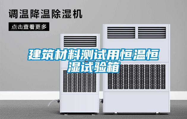 欧美黄色性爱视频网站 建筑材料测试用恒温恒湿试验箱