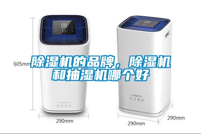 欧美成色手机在线观看 除湿机的品牌，除湿机和抽湿机哪个好
