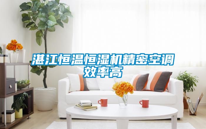 欧美黄色电影在线播放 湛江恒温恒湿机精密空调效率高