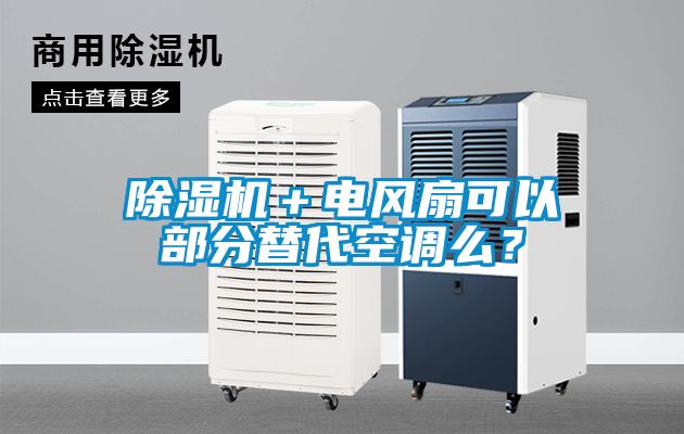 欧美黄色电影在线播放 除湿机＋电风扇可以部分替代空调么？