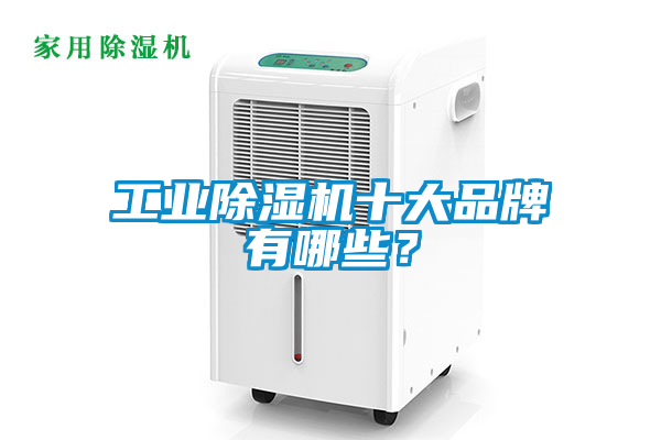 欧美黄色性爱视频网站 工业除湿机十大品牌有哪些？