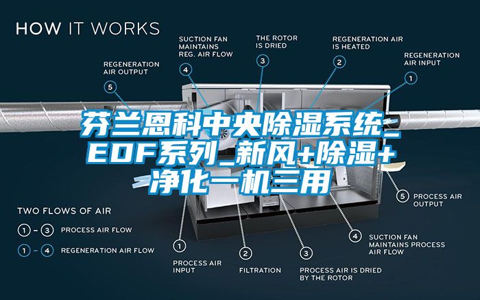 欧美黄色性爱视频网站 芬兰恩科中央除湿系统_EDF系列_新风+除湿+净化一机三用