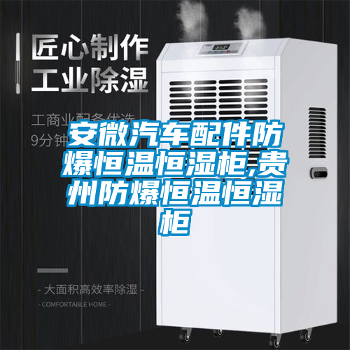 欧美黄色性爱视频网站 安微汽车配件防爆恒温恒湿柜,贵州防爆恒温恒湿柜
