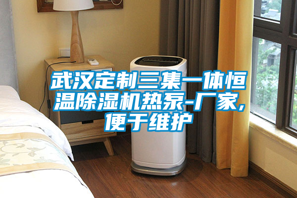 欧美黄色电影在线播放 武汉定制三集一体恒温除湿机热泵-厂家,便于维护
