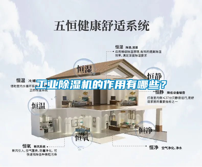 欧美成色手机在线观看 工业除湿机的作用有哪些？
