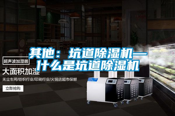 欧美黄色电影在线播放 其他：坑道除湿机—什么是坑道除湿机