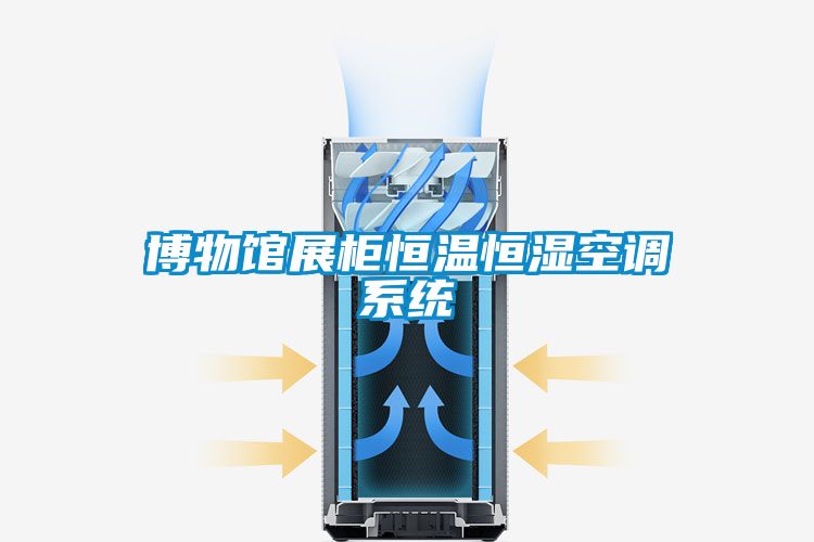 欧美黄色电影在线播放 博物馆展柜恒温恒湿空调系统