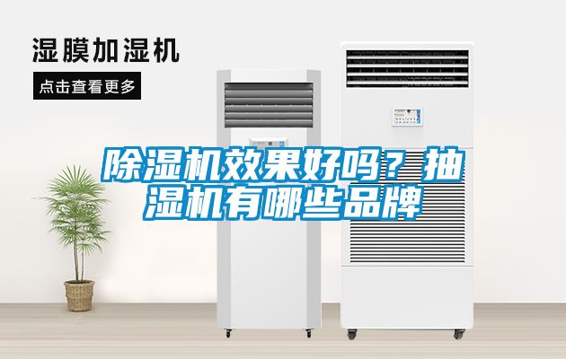 欧美成色手机在线观看 除湿机效果好吗？抽湿机有哪些品牌
