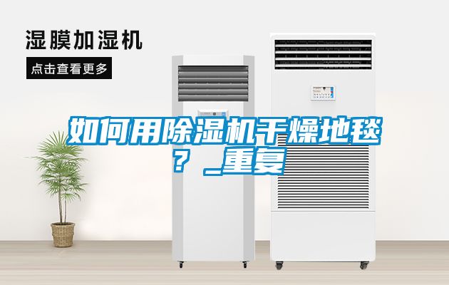 欧美黄色性爱视频网站 如何用除湿机干燥地毯？_重复