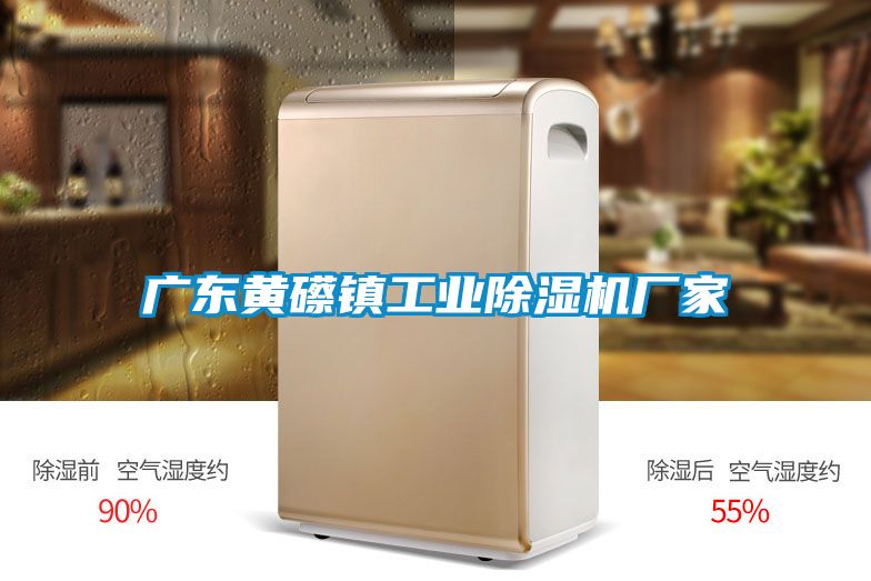 欧美黄色电影在线播放 广东黄礤镇工业除湿机厂家