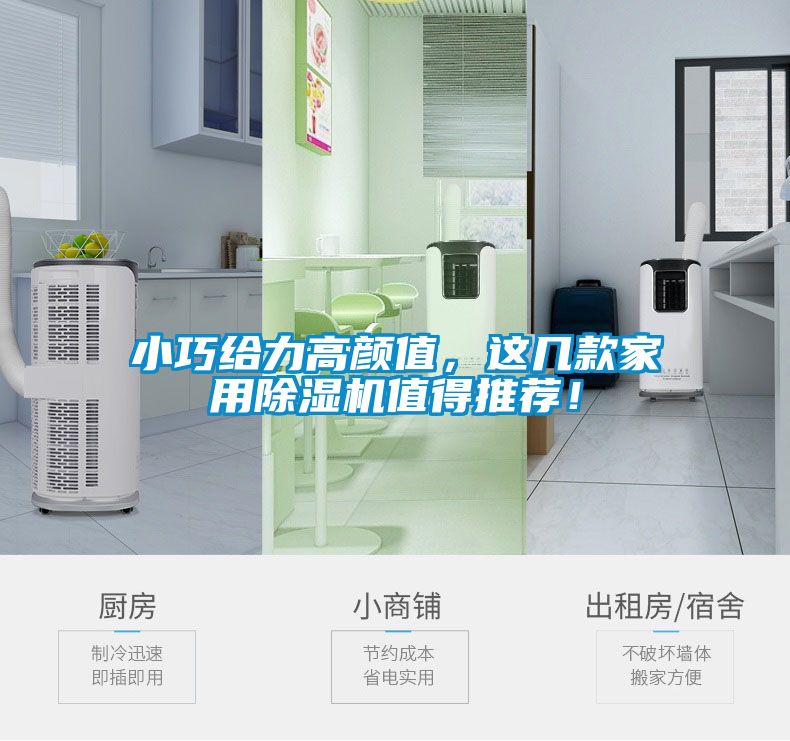 欧美黄色性爱视频网站 小巧给力高颜值，这几款家用除湿机值得推荐！