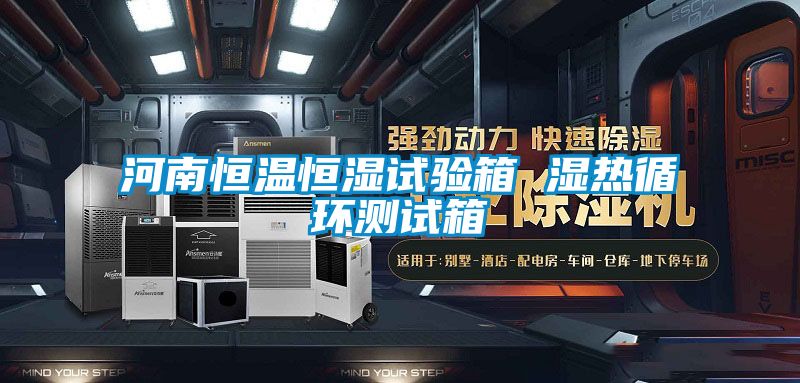 欧美黄色电影在线播放 河南恒温恒湿试验箱 湿热循环测试箱