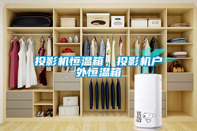 欧美黄色性爱视频网站 投影机恒温箱，投影机户外恒温箱
