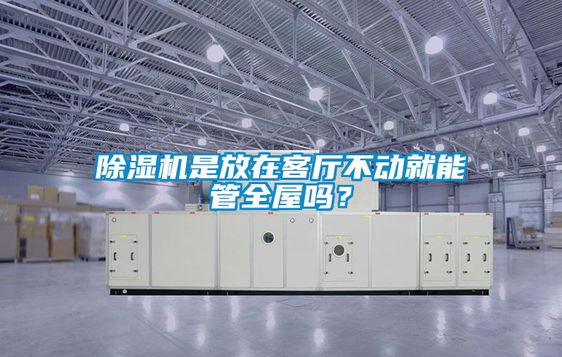 欧美黄色电影在线播放 除湿机是放在客厅不动就能管全屋吗？