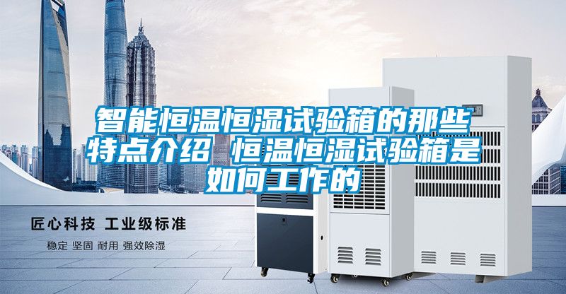欧美成色手机在线观看 智能恒温恒湿试验箱的那些特点介绍 恒温恒湿试验箱是如何工作的