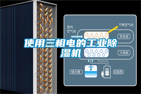 欧美黄色电影在线播放 使用三相电的工业除湿机