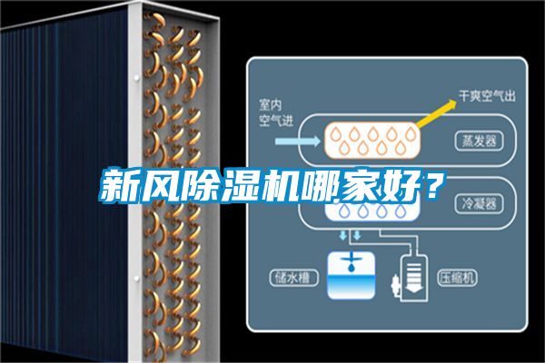 欧美成色手机在线观看 新风除湿机哪家好？