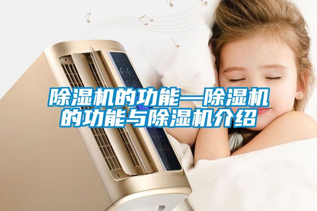 欧美黄色性爱视频网站 除湿机的功能—除湿机的功能与除湿机介绍