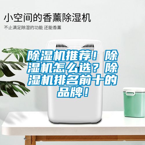 欧美黄色性爱视频网站 除湿机推荐！除湿机怎么选？除湿机排名前十的品牌！