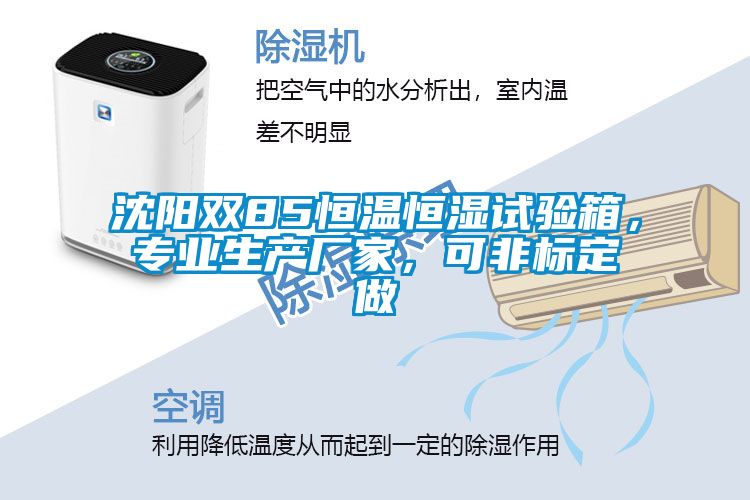 欧美黄色电影在线播放 沈阳双85恒温恒湿试验箱，专业生产厂家，可非标定做