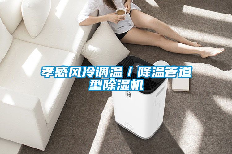 欧美黄色性爱视频网站 孝感风冷调温／降温管道型除湿机