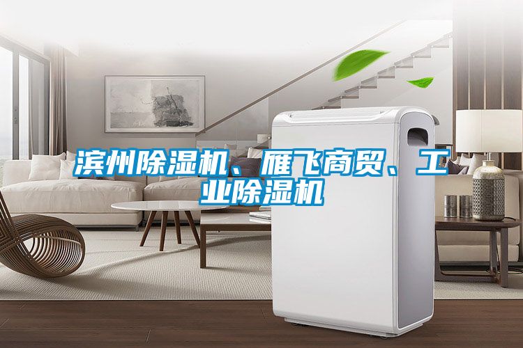 欧美黄色电影在线播放 滨州除湿机、雁飞商贸、工业除湿机