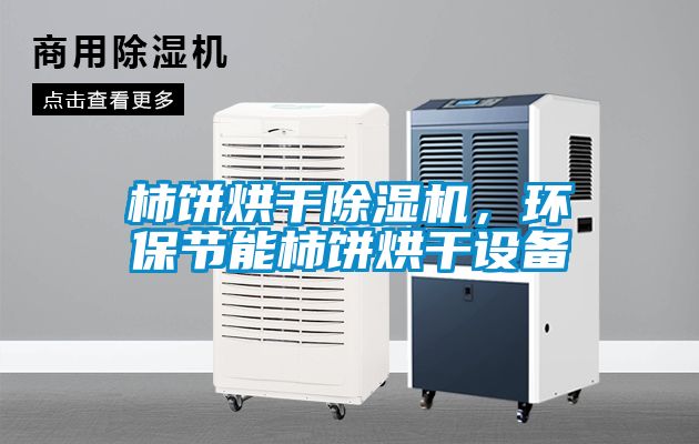 欧美黄色电影在线播放 柿饼烘干除湿机，环保节能柿饼烘干设备