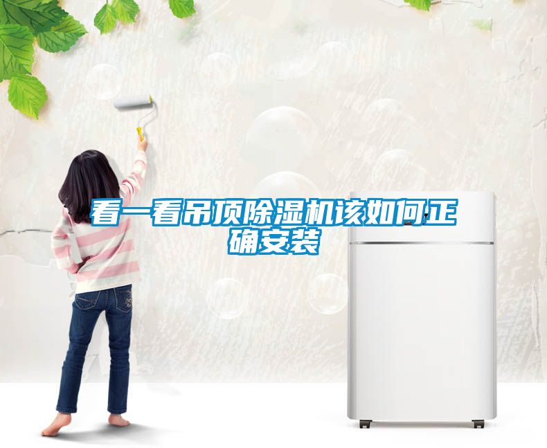 欧美成色手机在线观看 看一看吊顶除湿机该如何正确安装