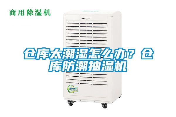 欧美成色手机在线观看 仓库太潮湿怎么办？仓库防潮抽湿机