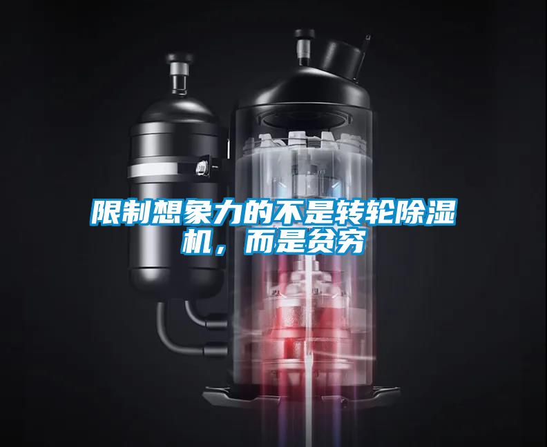 欧美成色手机在线观看 限制想象力的不是转轮除湿机，而是贫穷