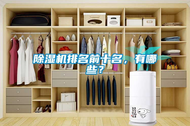 欧美黄色电影在线播放 除湿机排名前十名，有哪些？