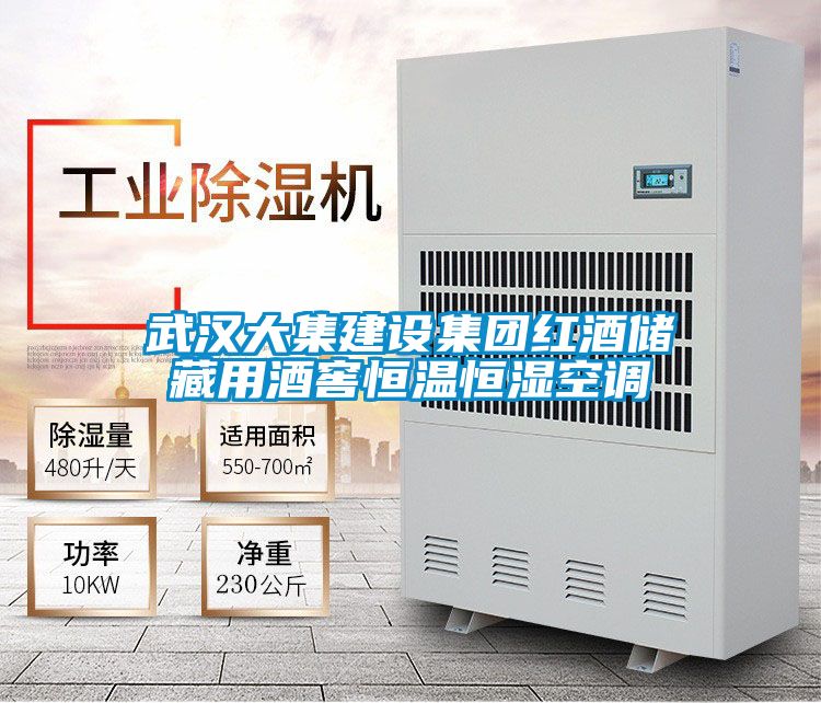 欧美黄色性爱视频网站 武汉大集建设集团红酒储藏用酒窖恒温恒湿空调